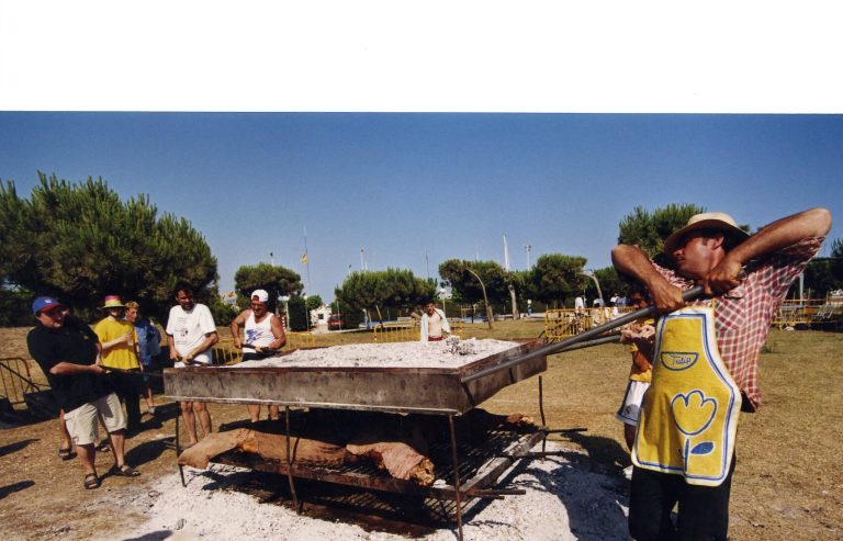 2003 Festa de la Vedella